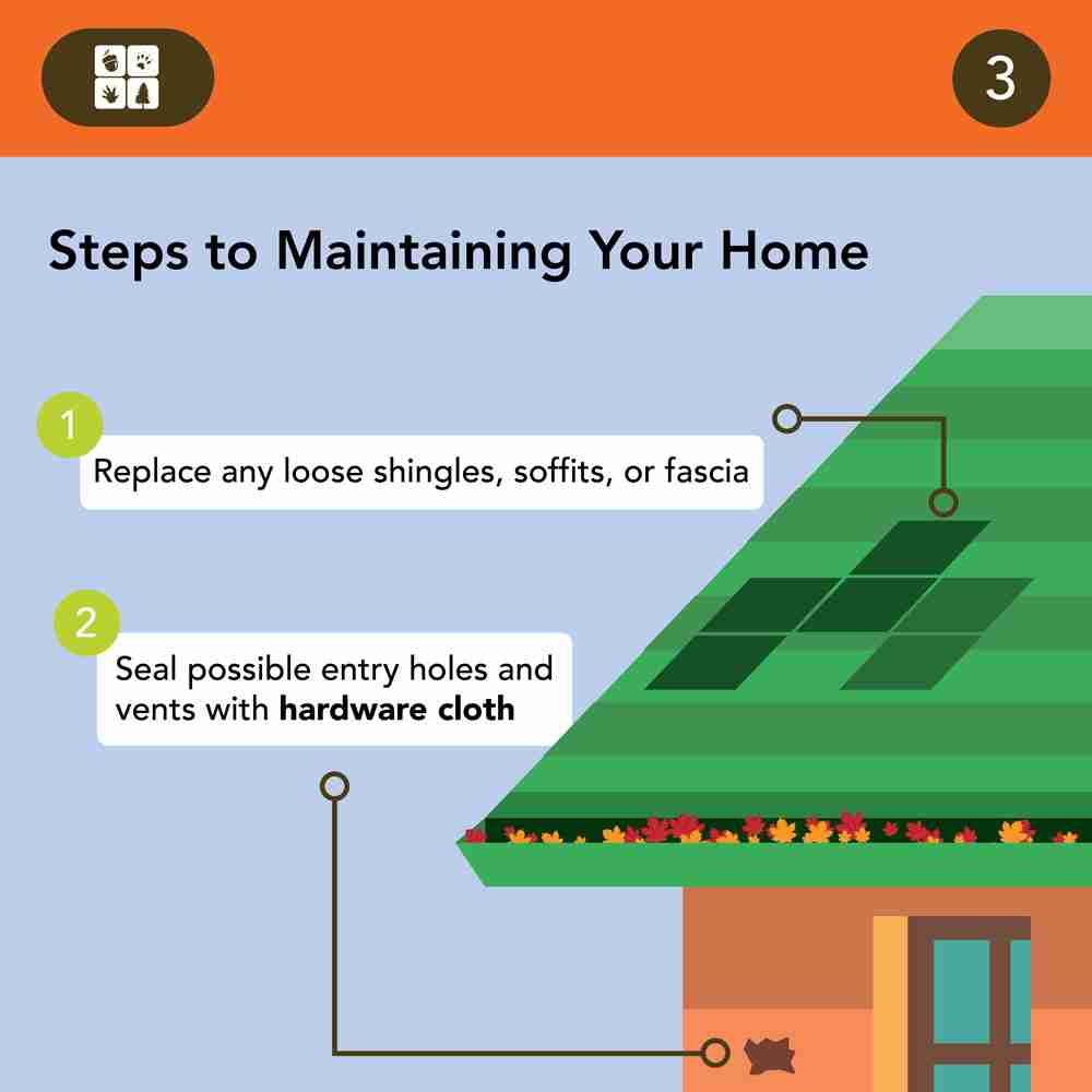 Steps to maintaining your home