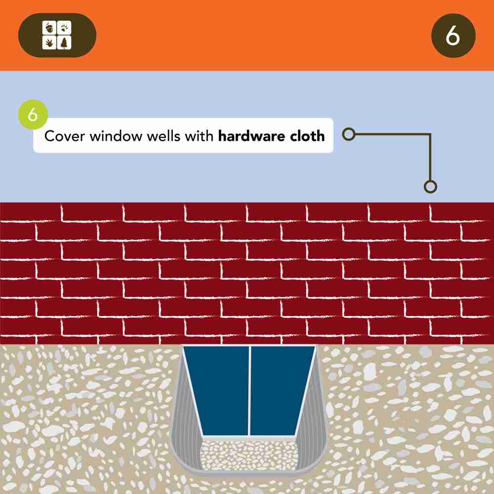 How to safe tour home from wild animal