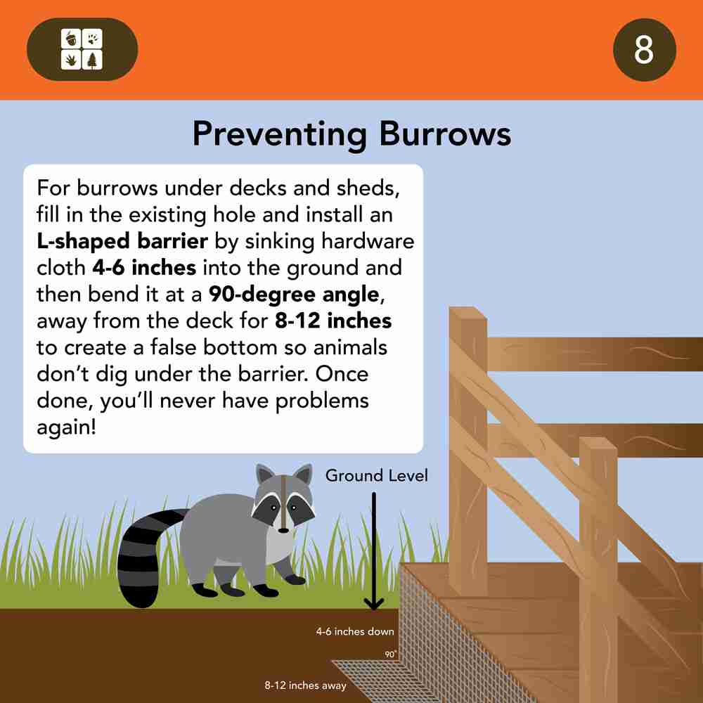 Animal-Proofing-Your-Home