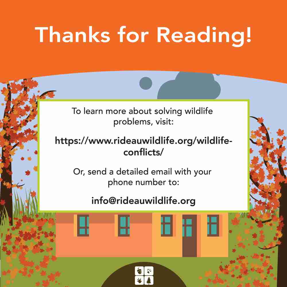 Animal proofing your home