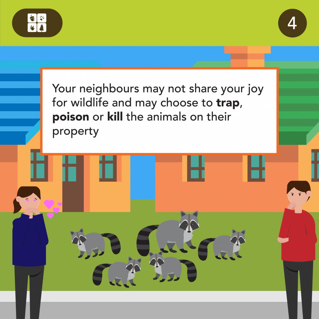 Should People Feed Wildlife