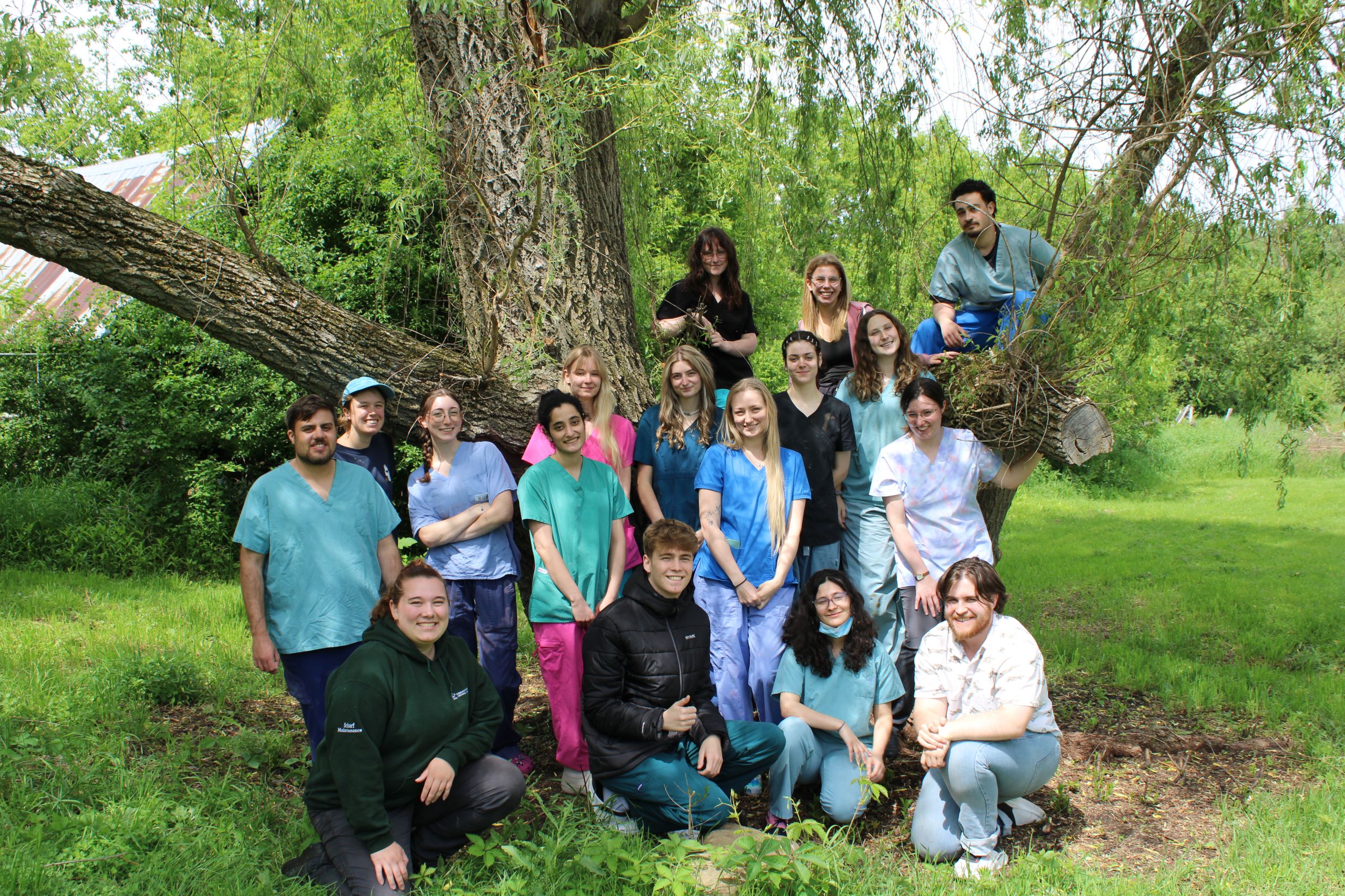 IMG_8615 IMG 8615 scaled