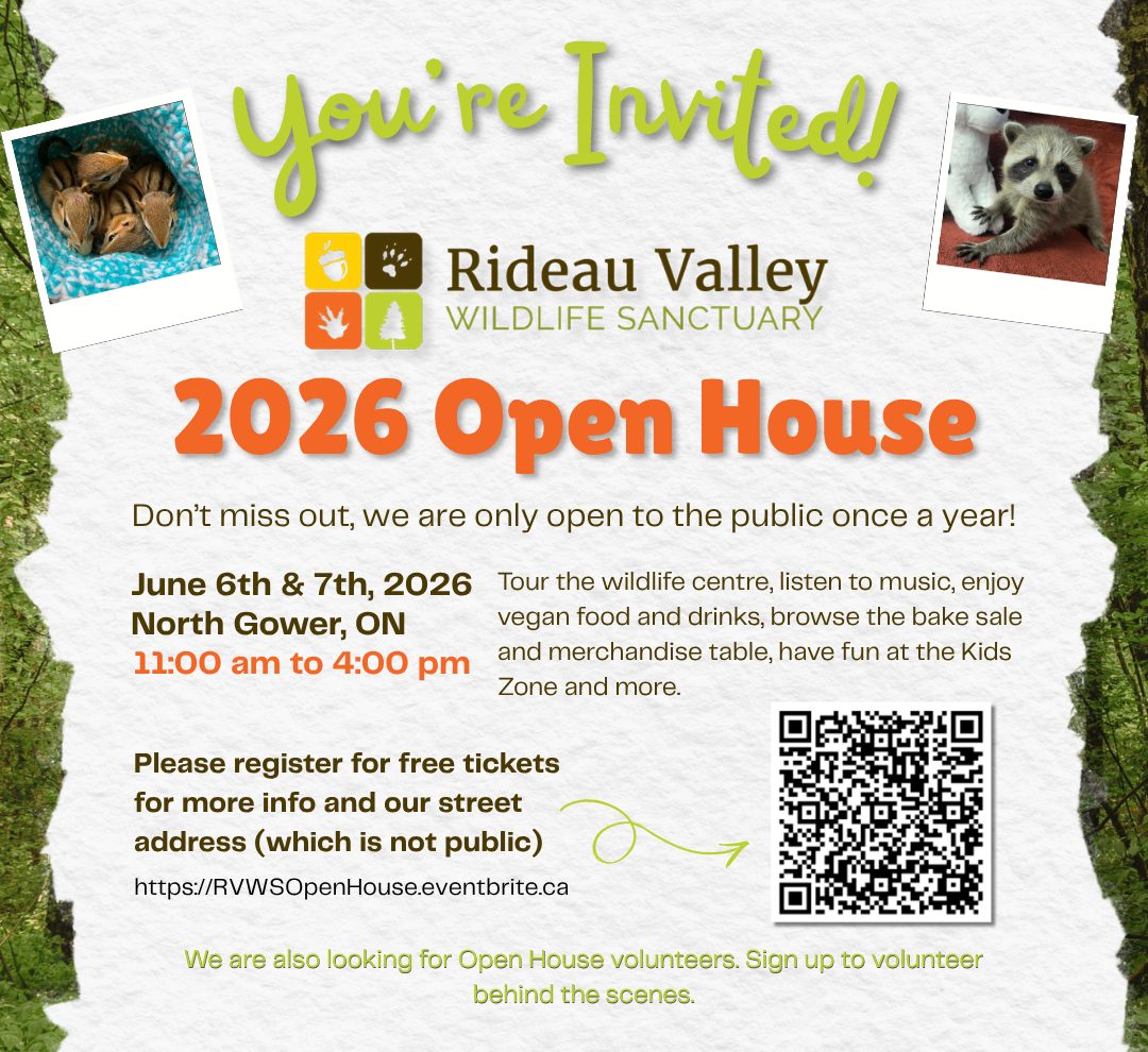 Smaller OH invite